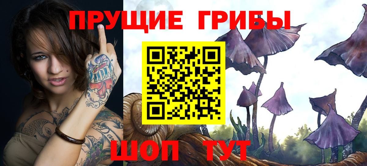 Надым  Галлюциногенные грибы Psilocybe  Вход с VPN  закладка  Псилоцибиновые грибы мицелий 